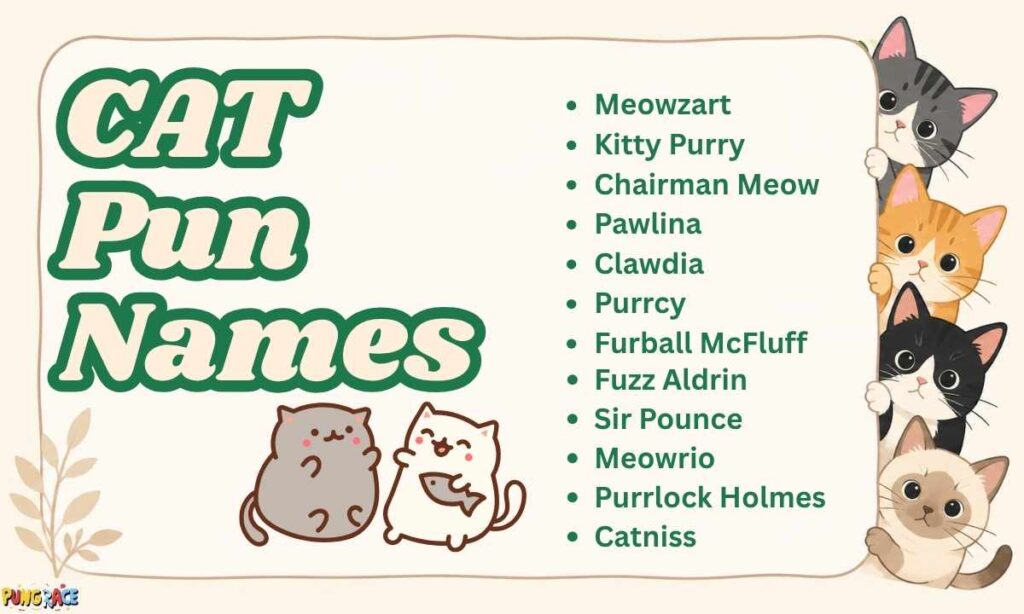 cat-pun-names