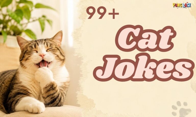cat-jokes