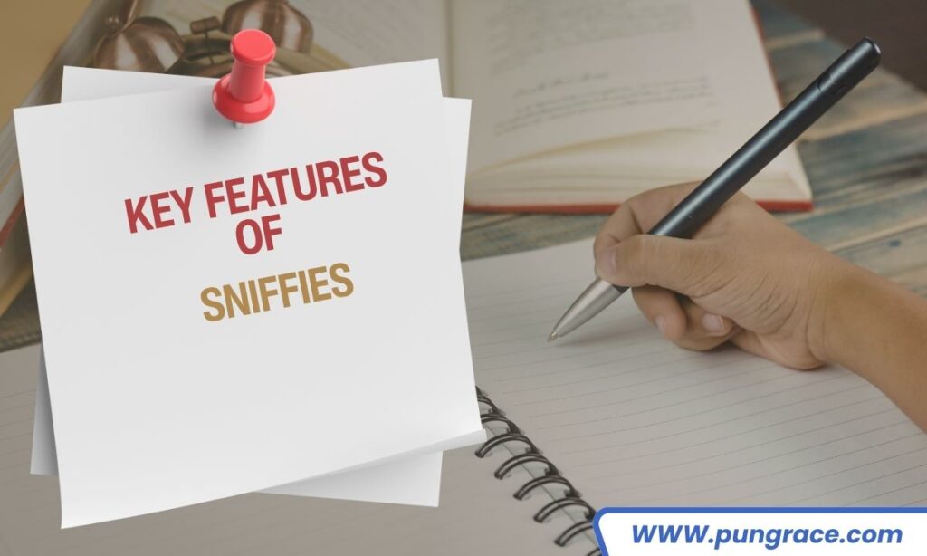 key-features-of-sniffies