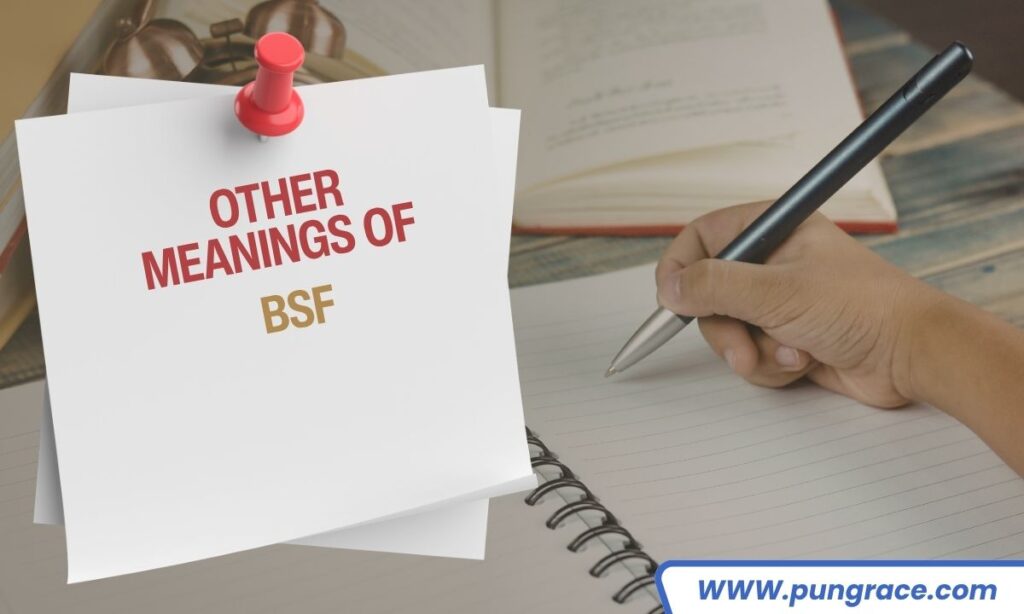 other-meanings-of-bsf