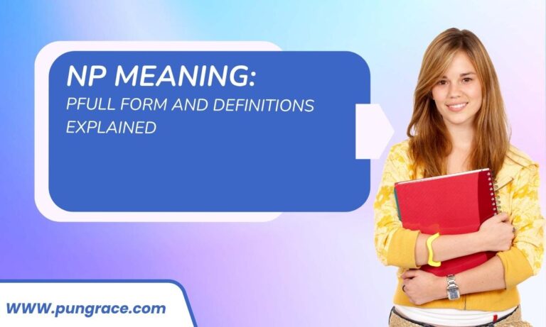 pnp-meaning-full-form-and-definitions-explained