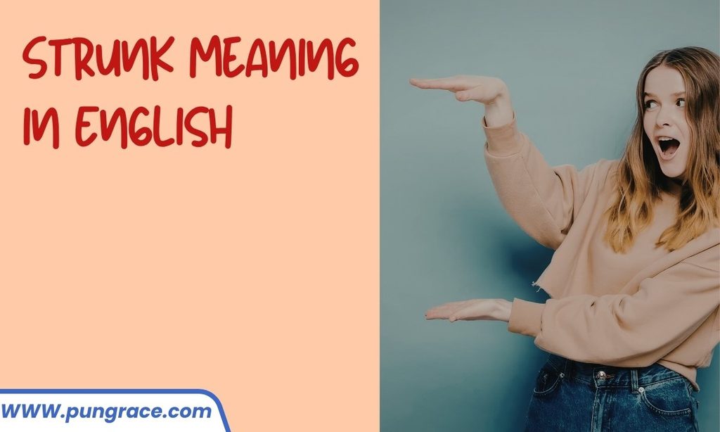 strunk-meaning-in-english