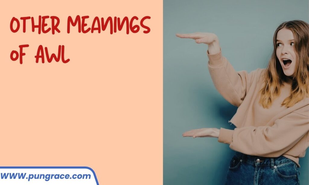 other-meanings-of-awl